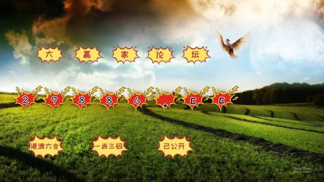 4949澳门开奖结果查询｜精选解释解析落实